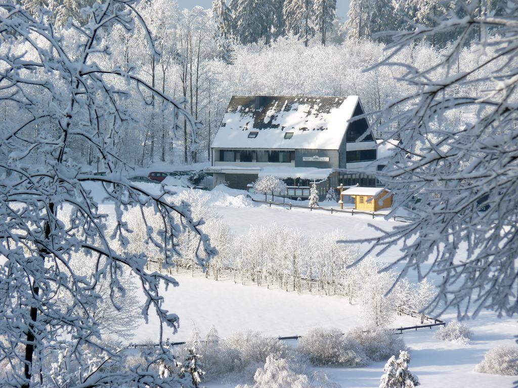 ホテル Ginsberger Heide Hilchenbach エクステリア 写真